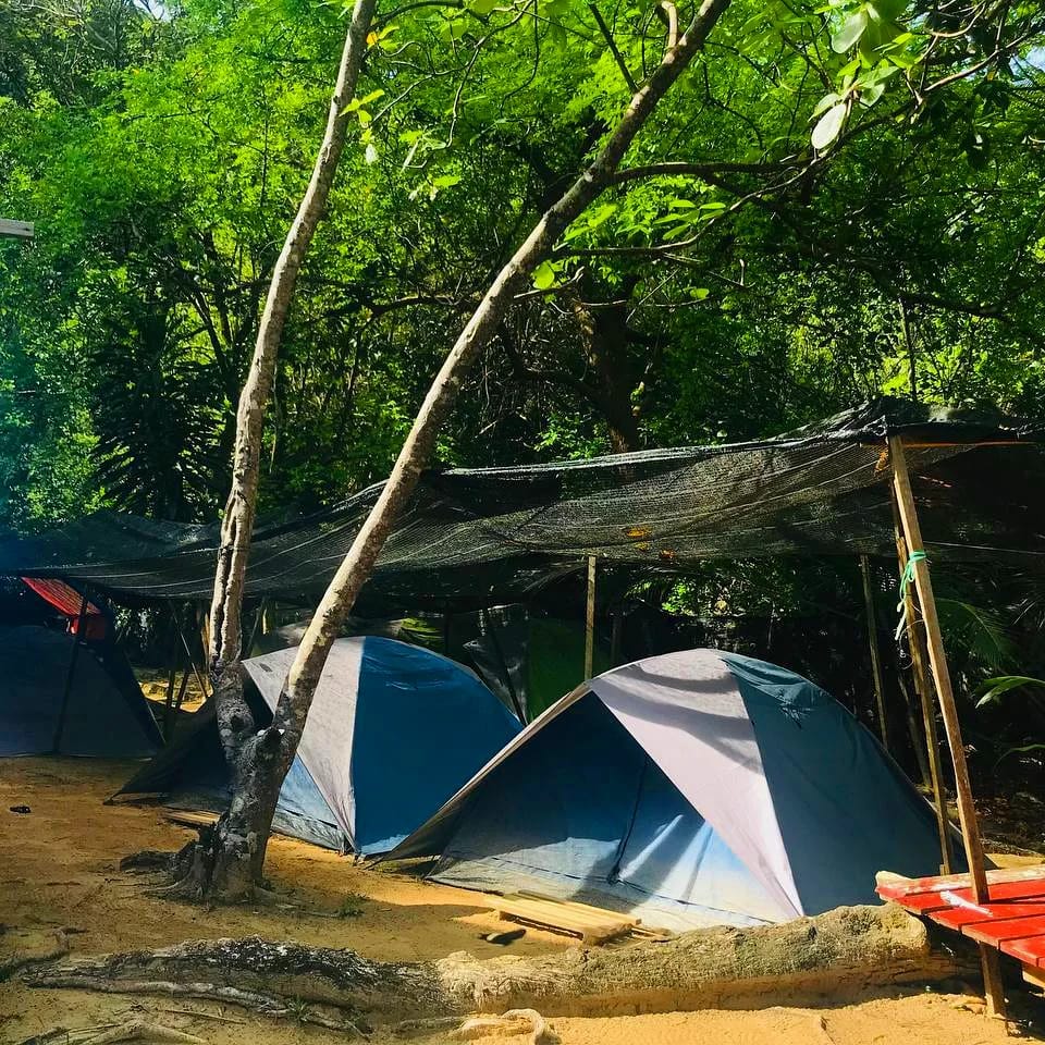 Campsite Coral | Pulau Kapas